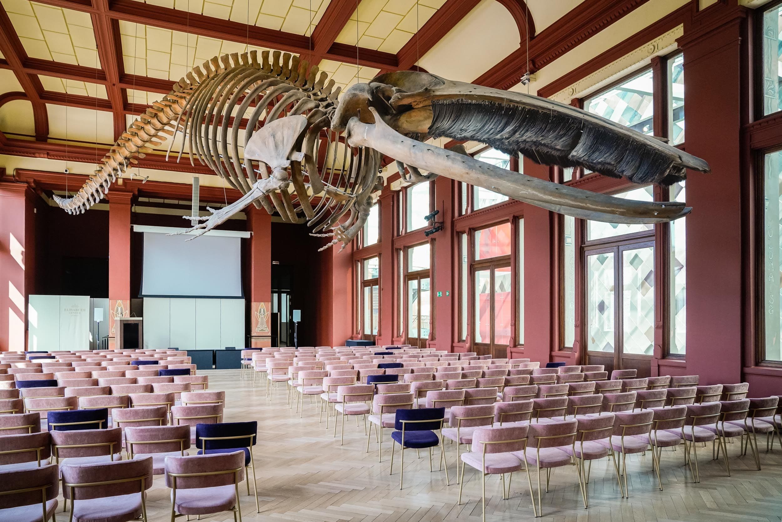 Antwerp Convention Bureau