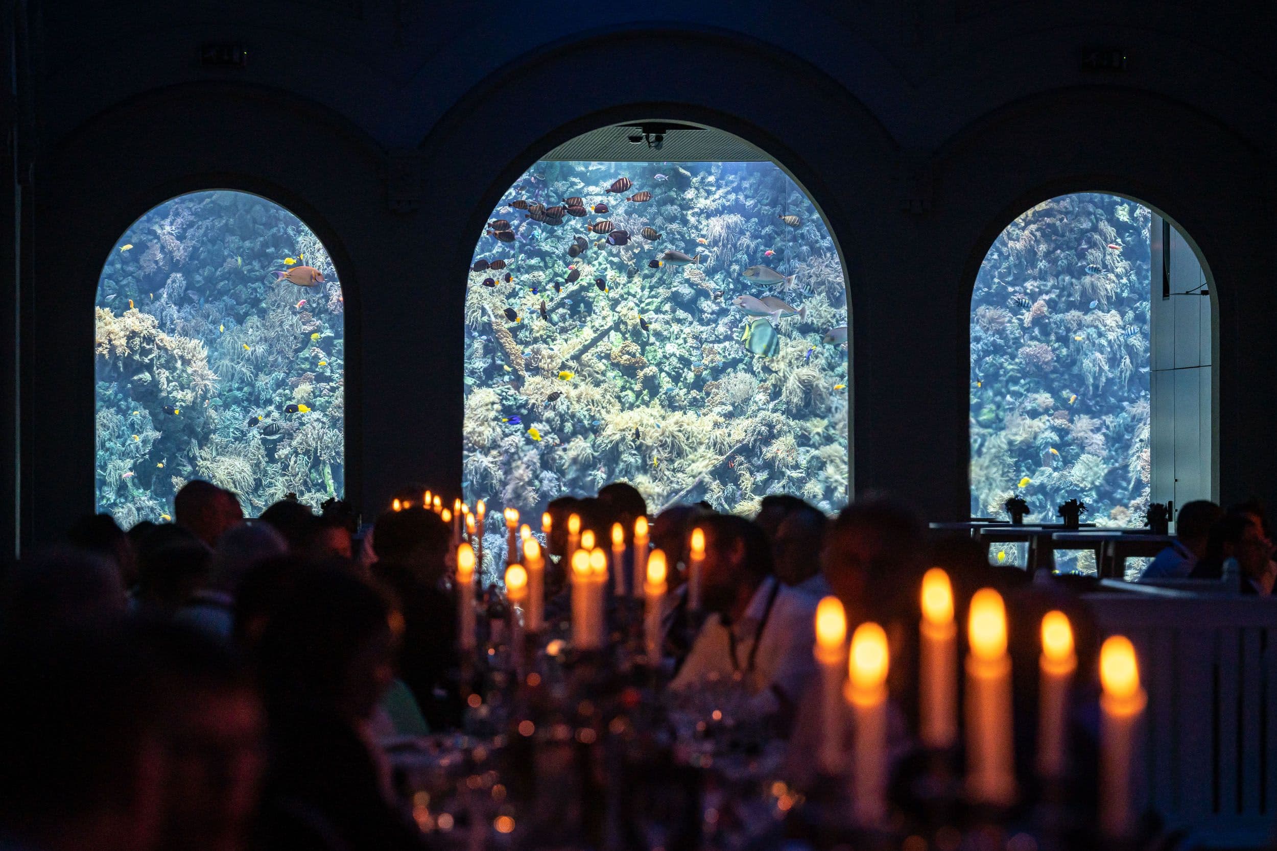 Antwerp Convention Bureau