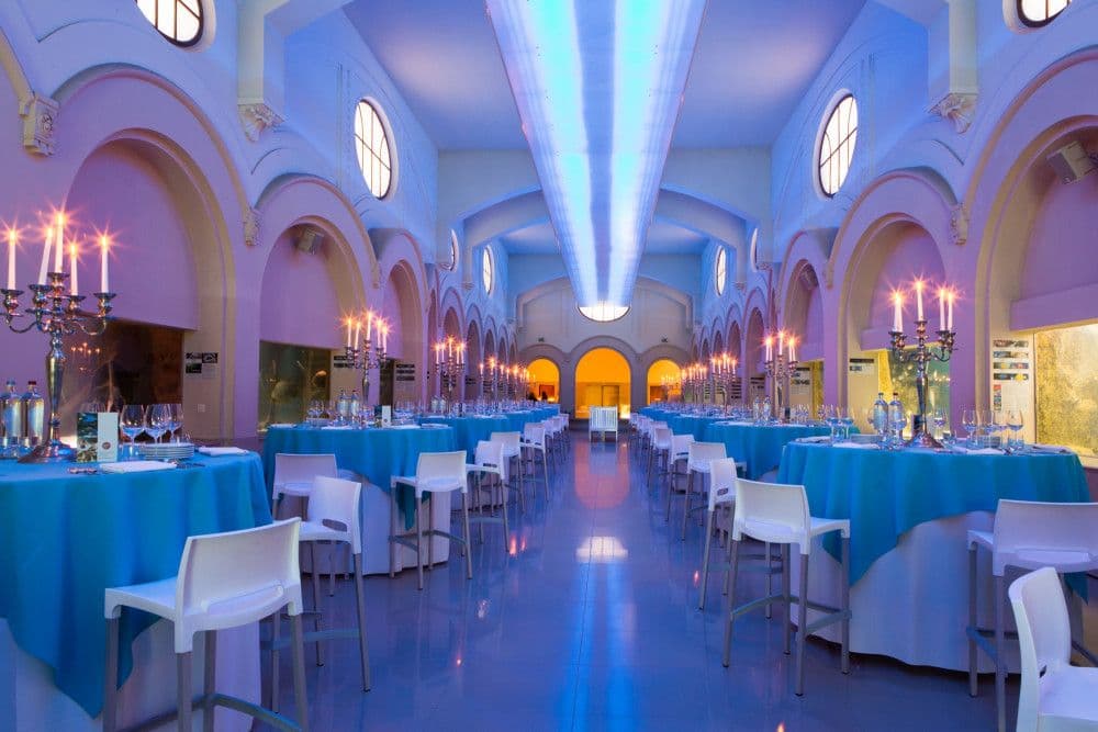 Antwerp Convention Bureau